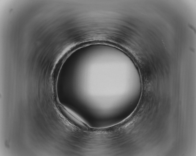 X0000097511118200802291613