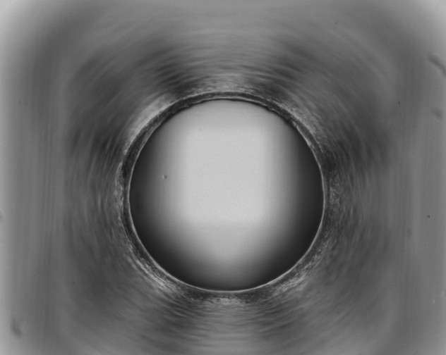 X0000097511119200802291613