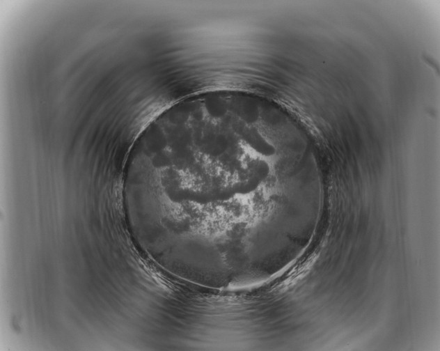 X0000097511121200802291613