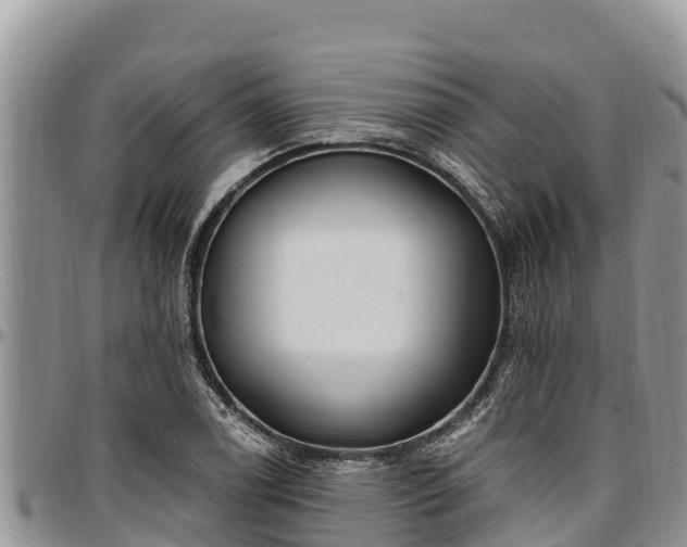 X0000097511122200802291613