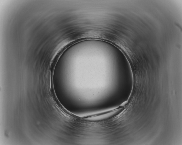 X0000097511123200802291613