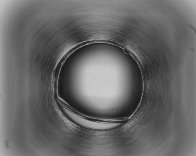 X0000097511124200802291613