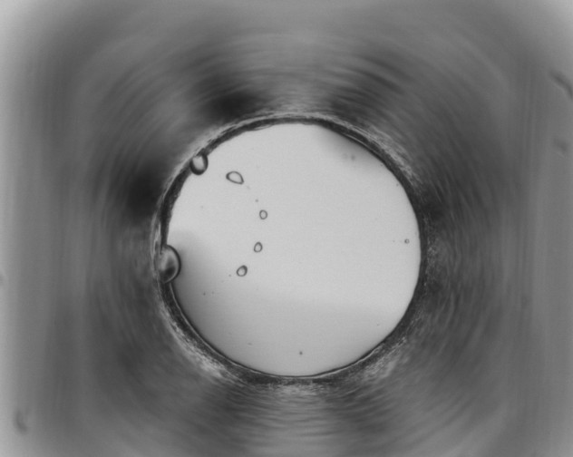 X0000097511126200802291613