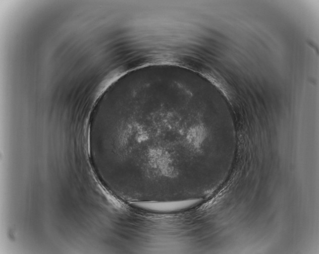 X0000097511127200802291613