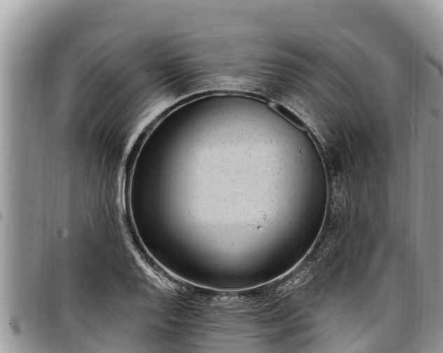 X0000097511128200802291613