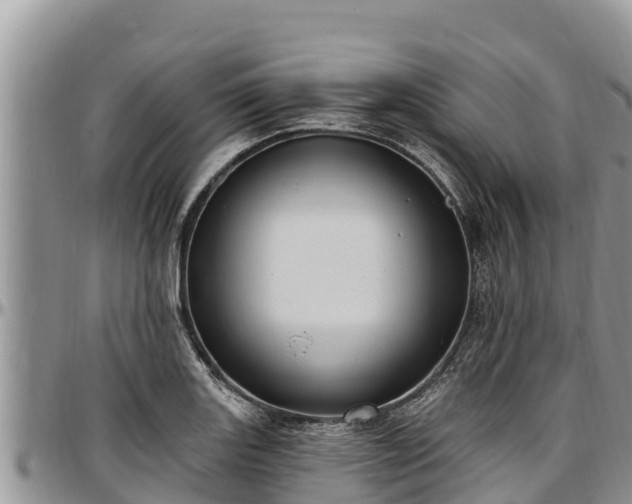 X0000097511131200802291613
