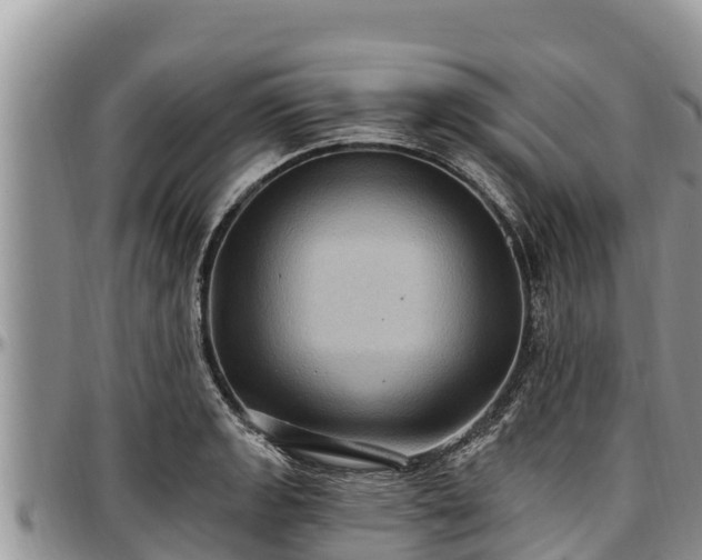 X0000097511133200802291613