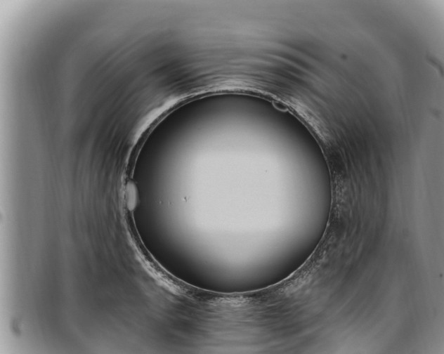 X0000097511134200802291613