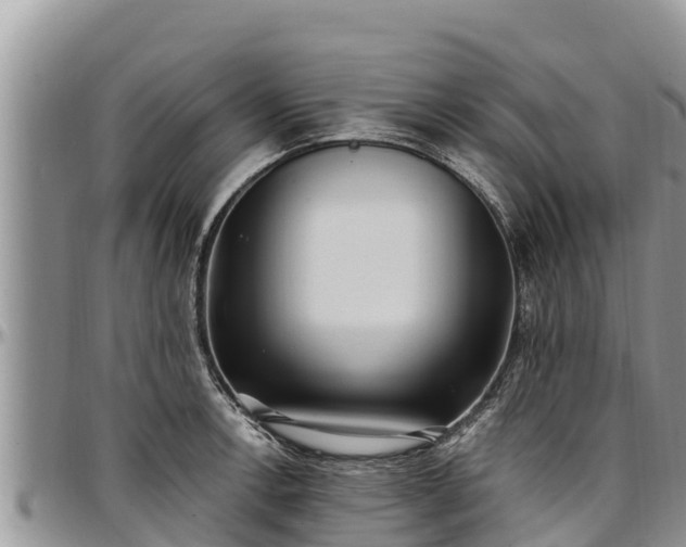 X0000097511138200802291613