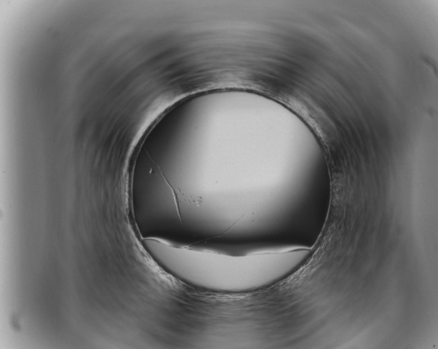 X0000097511140200802291614
