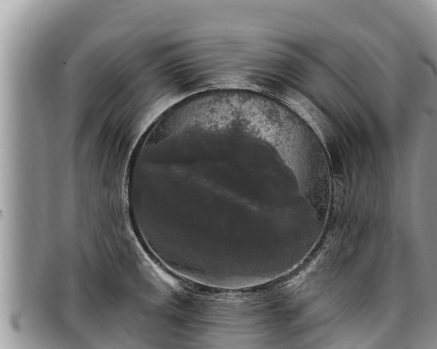 X0000097511141200802291614