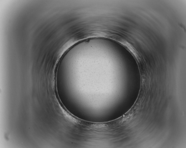 X0000097511143200802291614