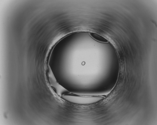 X0000097511144200802291614