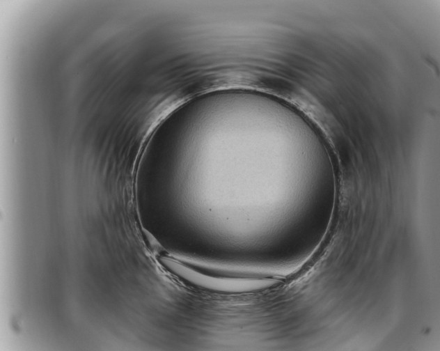 X0000097511145200802291614