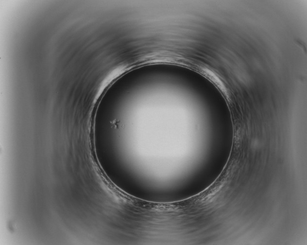X0000097511146200802291614