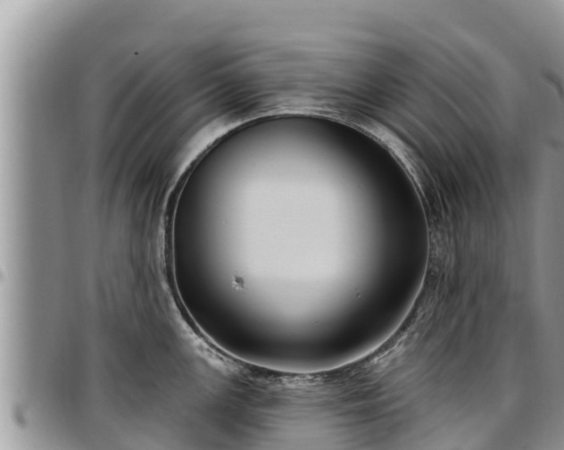 X0000097511147200802291614