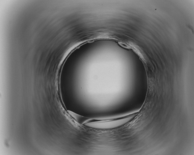 X0000097511148200802291614