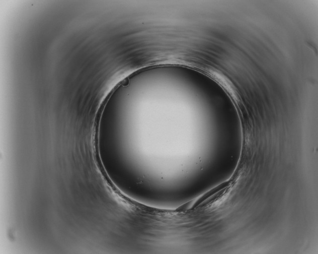 X0000097511149200802291614