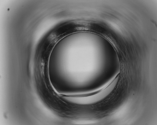 X0000097511151200802291614