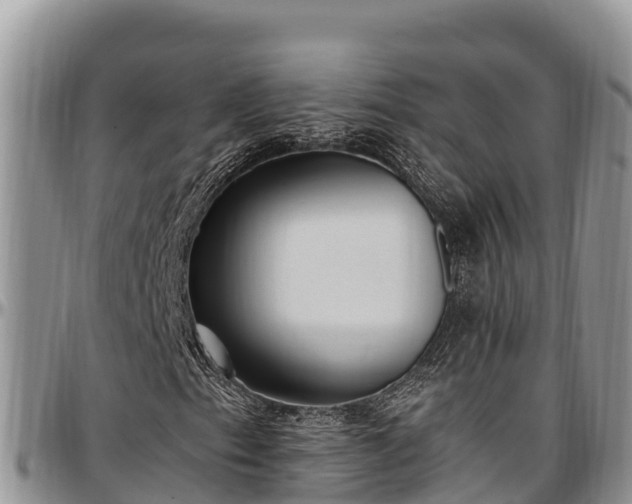 X0000097511153200802291613