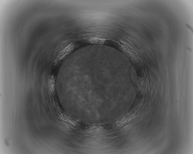X0000097511154200802291613