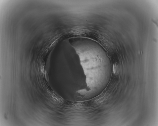 X0000097511155200802291613