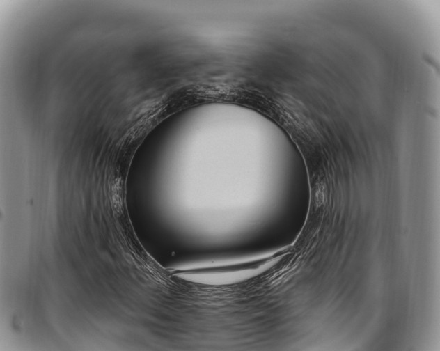 X0000097511156200802291613