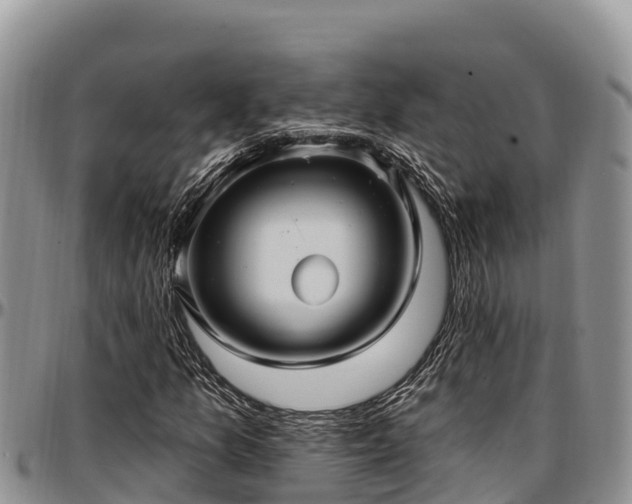 X0000097511157200802291613