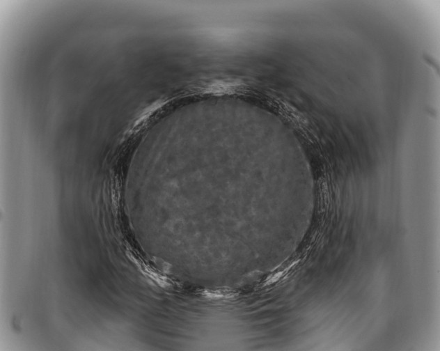 X0000097511158200802291613