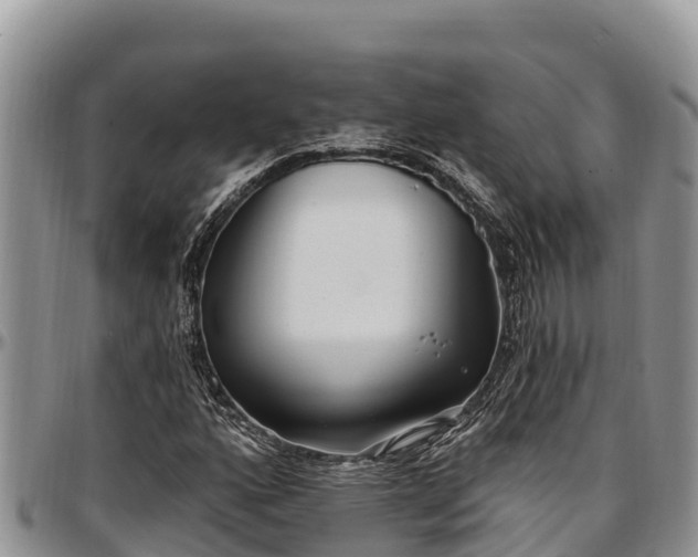 X0000097511160200802291613