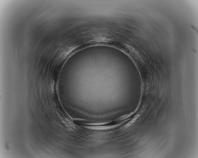 X0000097511161200802291613
