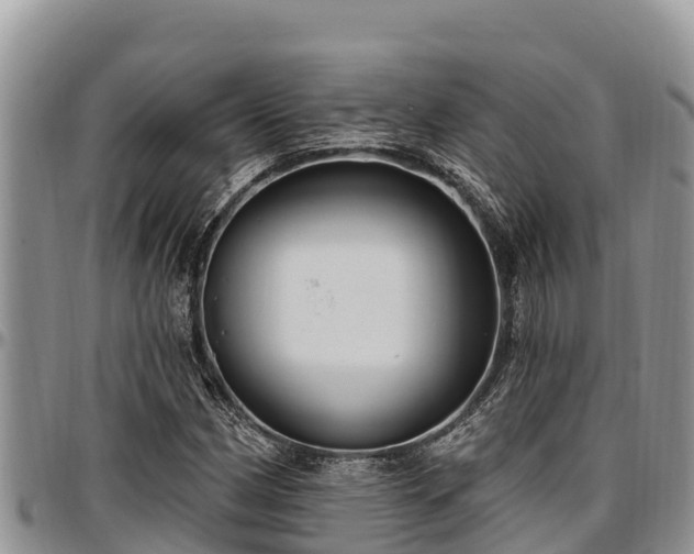 X0000097511162200802291613