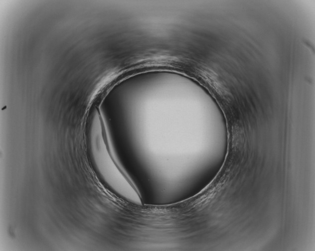 X0000097511164200802291613
