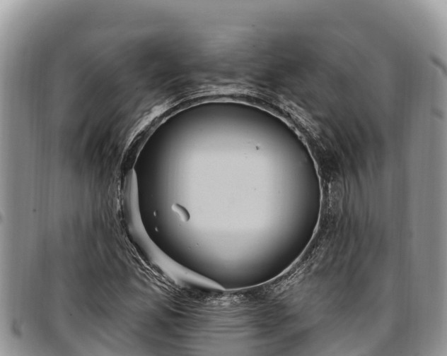 X0000097511165200802291613