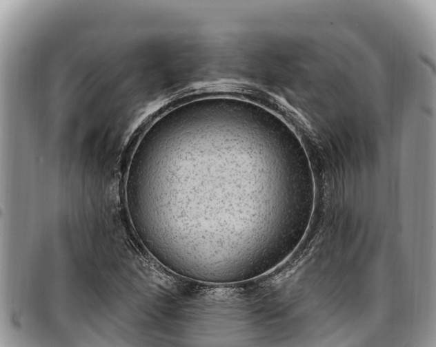 X0000097511166200802291613