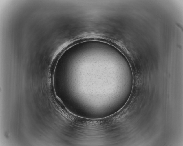 X0000097511167200802291613