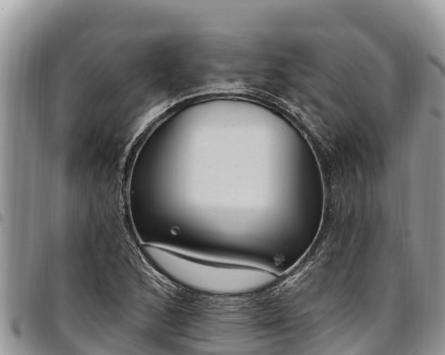 X0000097511168200802291613