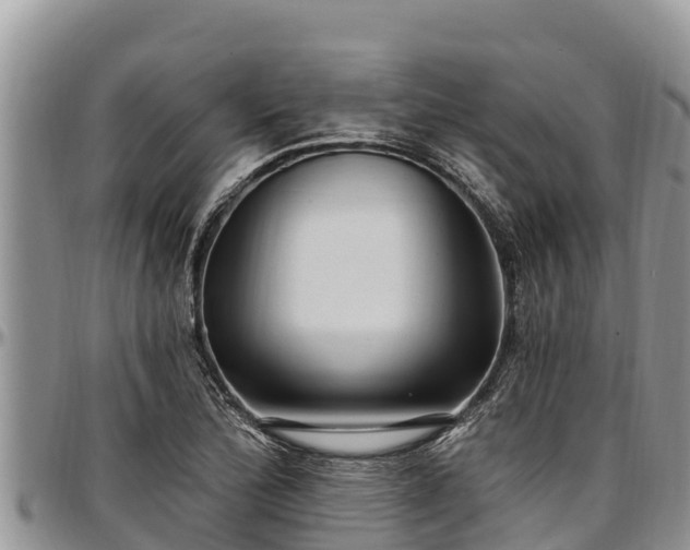 X0000097511172200802291613