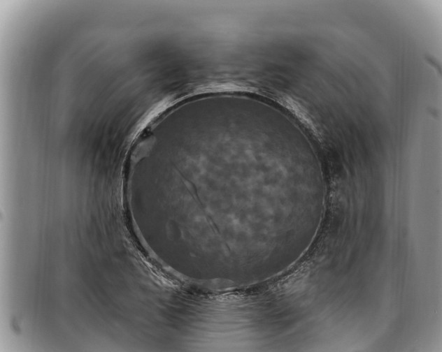 X0000097511173200802291613