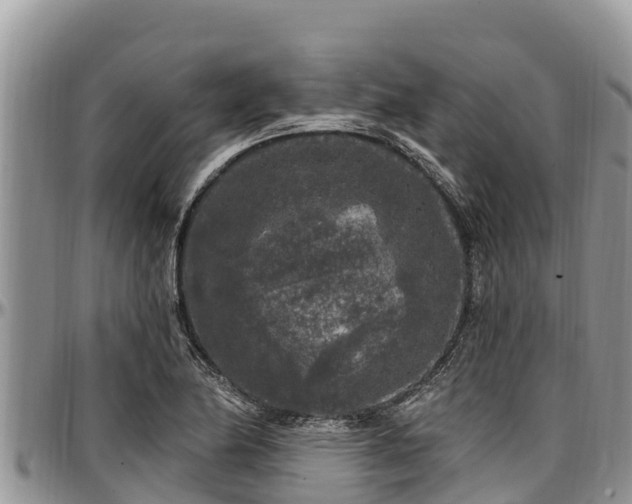 X0000097511174200802291613