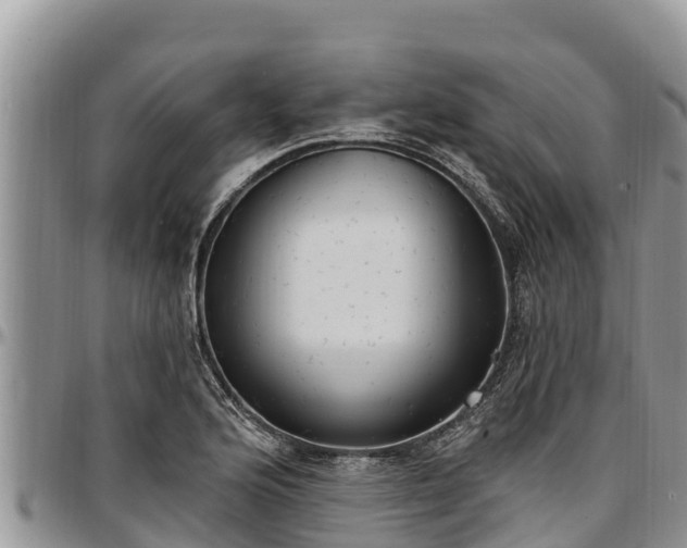 X0000097511176200802291613