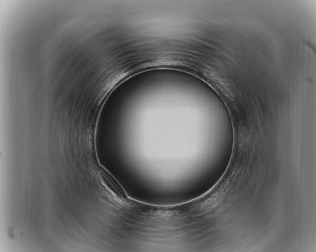 X0000097511177200802291613