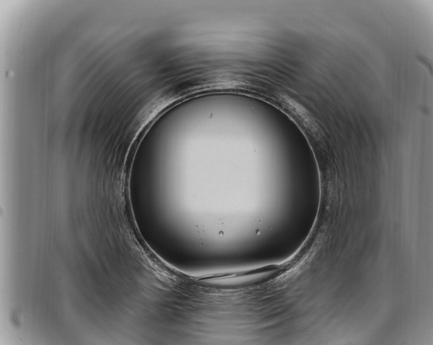 X0000097511178200802291613