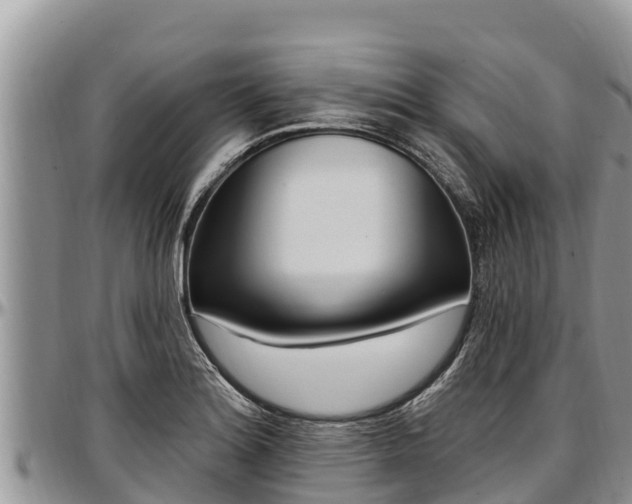 X0000097511180200802291613