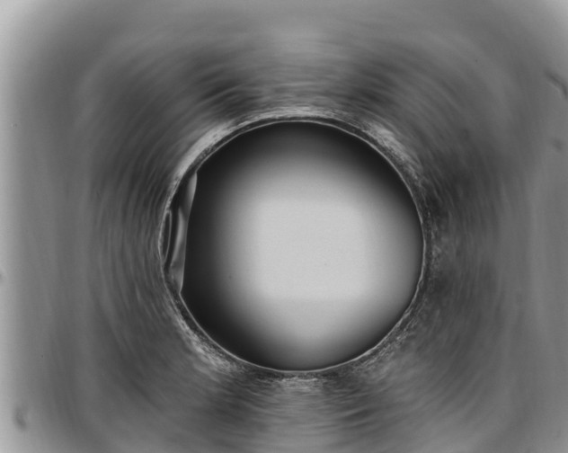 X0000097511181200802291612