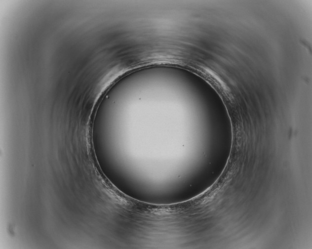 X0000097511182200802291612