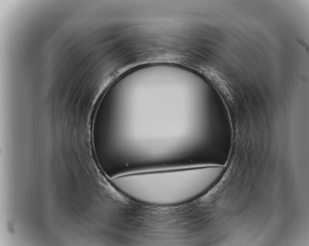 X0000097511184200802291612