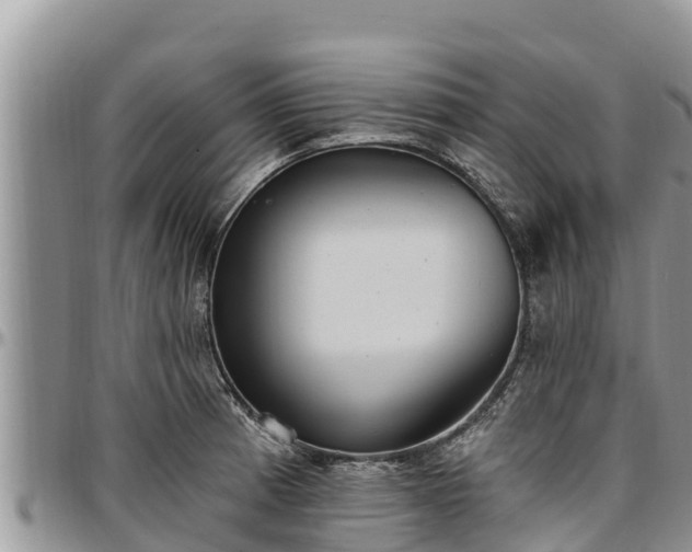 X0000097511185200802291612