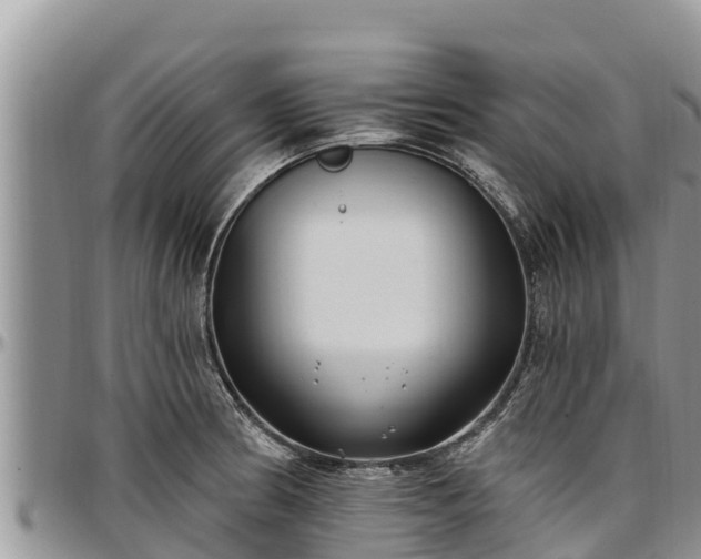 X0000097511186200802291612