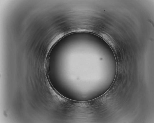 X0000097511189200802291612